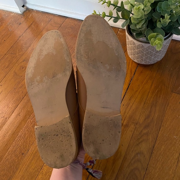 Everlane Modern Oxford - Picture 4 of 4